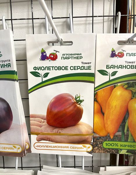 томат Фиолетовое сердце